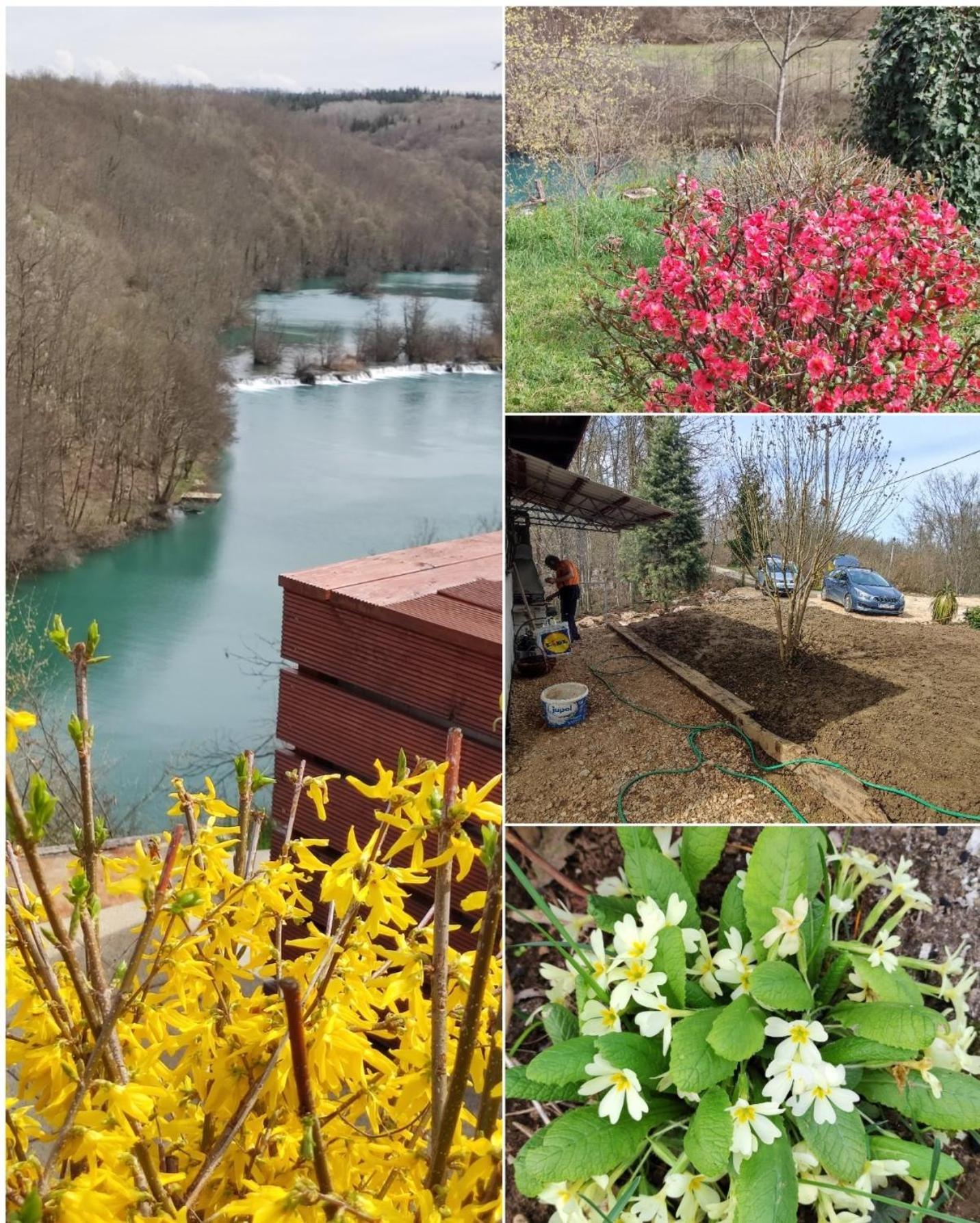 Mreznica - Zelena Oaza II Apartment Generalski Stol Luaran gambar